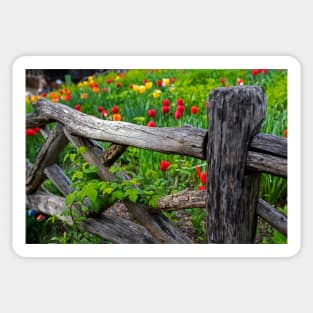 Central Park Shakespeare Garden New York City NY Wooden Fence Sticker